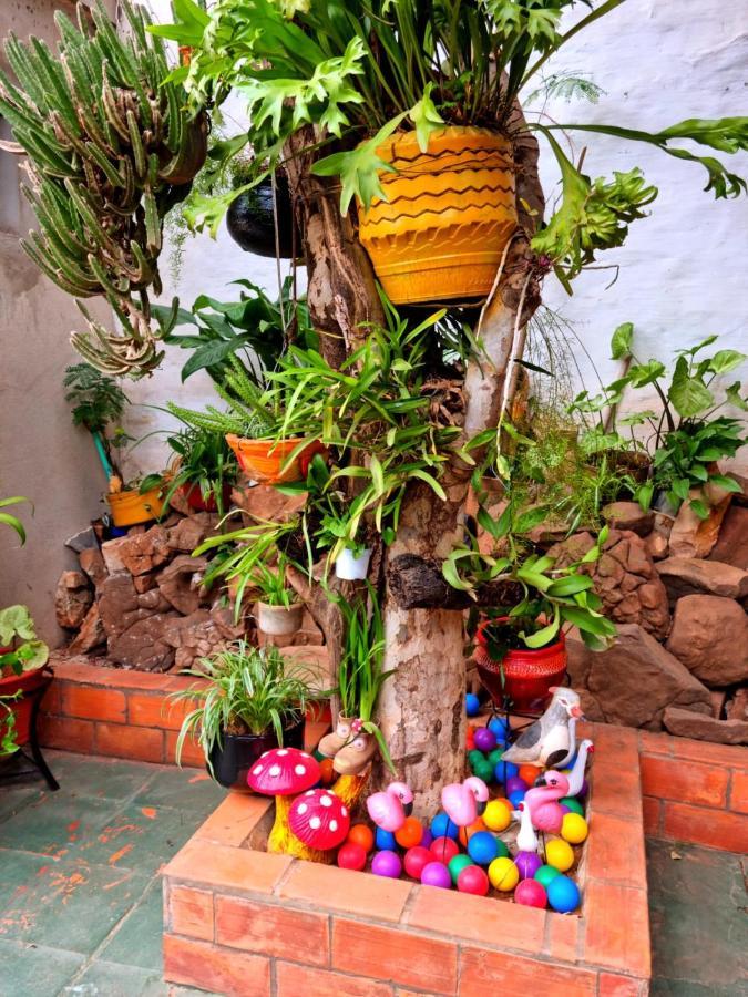Hostal Jardin De Luque 산 로렌소 외부 사진